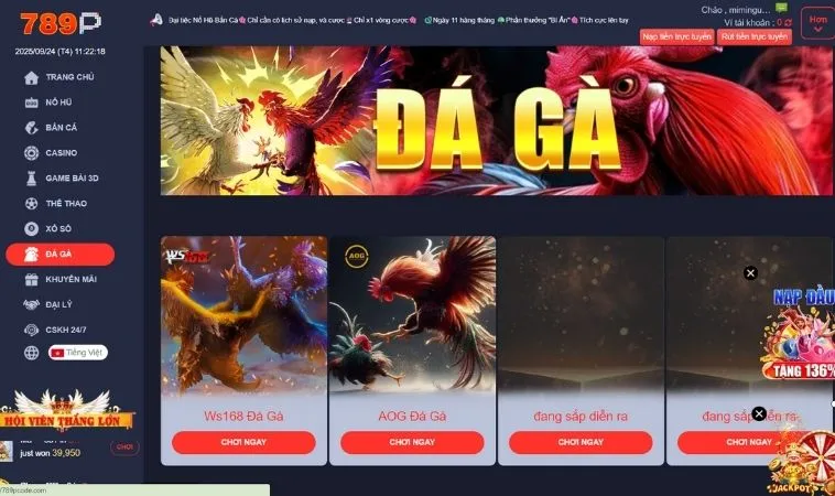 Kinh Nghiệm Đá Gà Tại 789P Hiệu Quả Cho Cược Thủ Chuyên Nghiệp 1 Sảnh Đá Gà 789P thiết kế giao diện đẹp, chuyên nghiệp