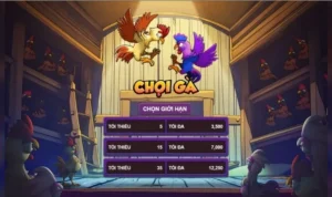 Đá Gà 3D Tại 789P