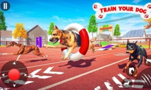 Đua Chó Tại 789P