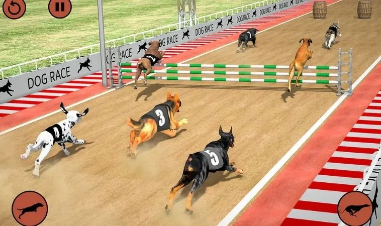 Cách chơi game nhanh Đua Chó Tại 789P