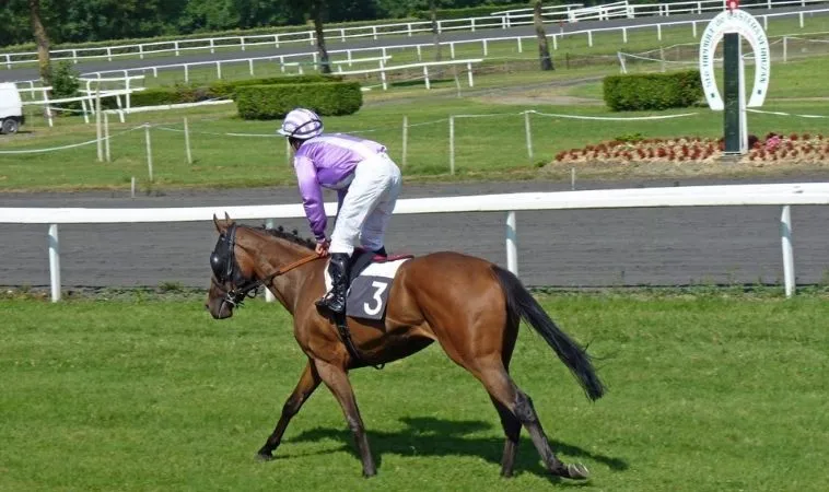 Cần tìm hiểu kỹ về bộ môn đua ngựa 789P trước khi cá cược